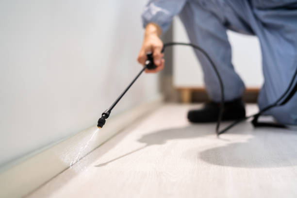 Pest Control Cost in Ridgemark, CA