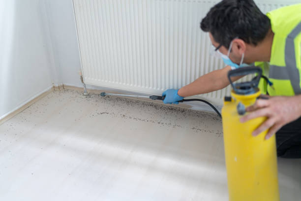 Best Best Pest Control Companies  in Ridgemark, CA