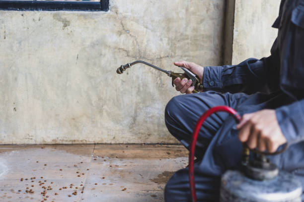 Best Best Pest Control Companies  in Ridgemark, CA