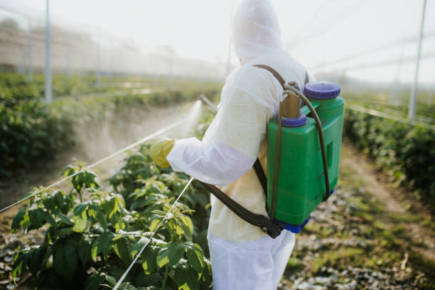Best Affordable Pest Control Services  in Ridgemark, CA